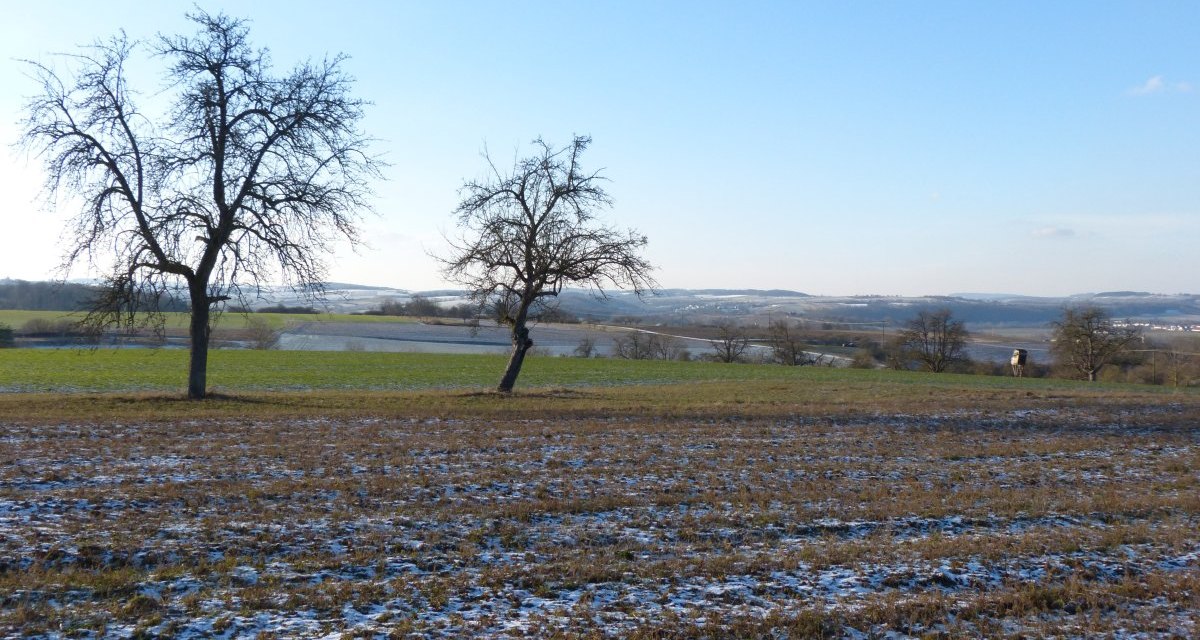 Zwei kahle Bäume stehen auf einem Feld mit leichtem Schneefall. Im Hintergrund sind Hügel und ein klarer blauer Himmel zu sehen., © Land der 1000 Hügel - Kraichgau-Stromberg Zwei kahle Bäume stehen auf einem Feld mit leichtem Schneefall. Im Hintergrund sind Hügel und ein klarer blauer Himmel zu sehen., © Land der 1000 Hügel - Kraichgau-Stromberg