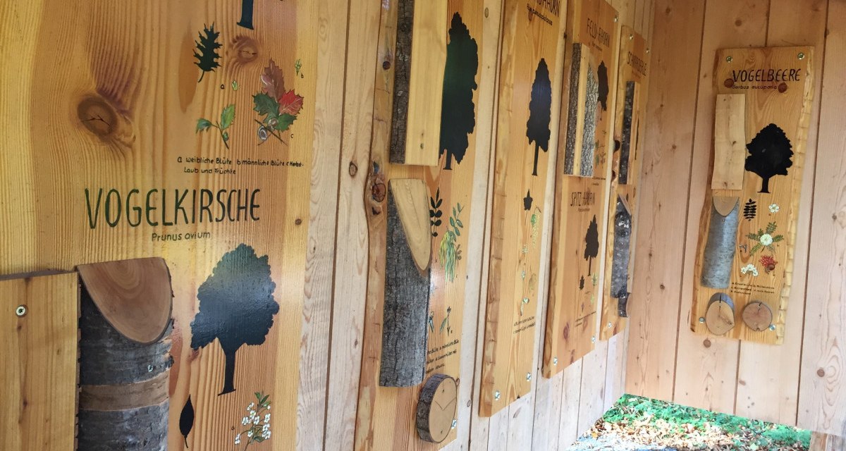 Holztafeln im Waldzentrum zeigen Informationen &uuml;ber Baumarten wie Vogelkirche und Esche. Jede Tafel enth&auml;lt Illustrationen und Baumrinden., &copy; Stadtmarketing Sindelfingen