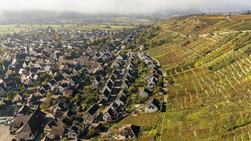Luftaufnahme von Roßwag, Vaihingen an der Enz. Links ein Dorf mit vielen Häusern, rechts terrassierte Weinberge. Nebel im Hintergrund., © Stuttgart-Marketing GmbH, Sarah Schmid