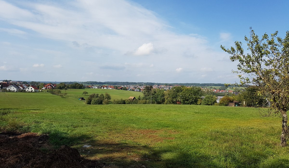 Grüne Wiesen mit Blick auf Mögglingen im Hintergrund, blauer Himmel und vereinzelte Wolken. Ein Baum rechts im Vordergrund., © Remstal Tourismus e.V. Grüne Wiesen mit Blick auf Mögglingen im Hintergrund, blauer Himmel und vereinzelte Wolken. Ein Baum rechts im Vordergrund., © Remstal Tourismus e.V.