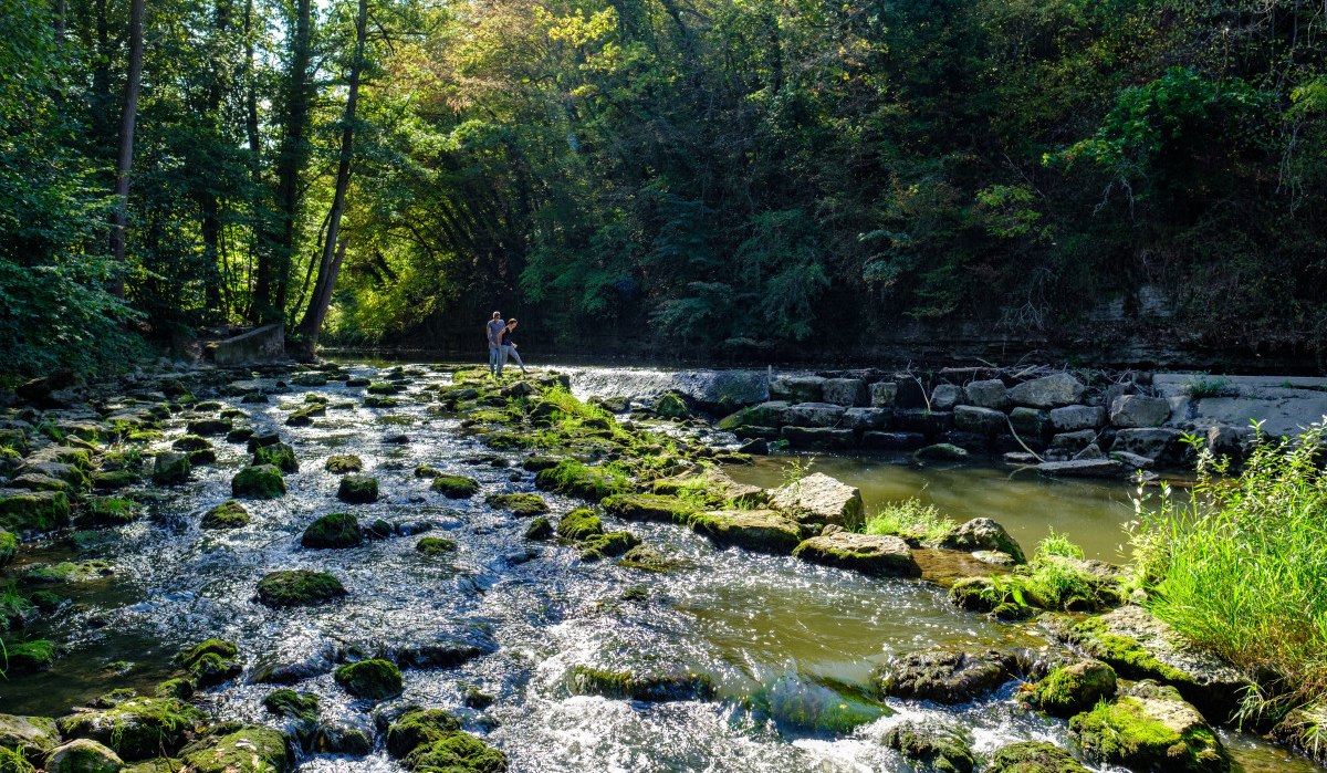 Zwei Personen stehen auf einem moosbedeckten Flussbett der Rems, umgeben von dichtem Wald und Sonnenlicht., © Remstal Tourismus e.V. Zwei Personen stehen auf einem moosbedeckten Flussbett der Rems, umgeben von dichtem Wald und Sonnenlicht., © Remstal Tourismus e.V.