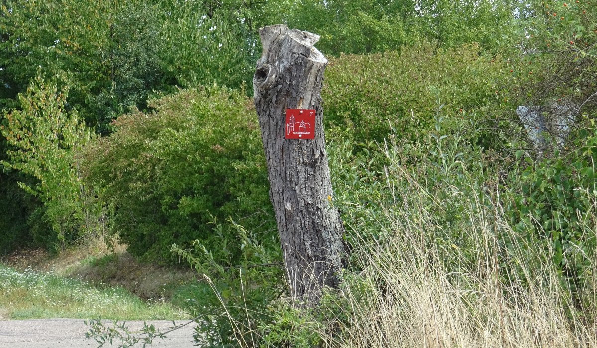 Ein Baumstumpf mit einem roten Schild steht am Rand eines Weges, umgeben von grünen Büschen und Gras., © Foto: Cornelia Steinbach Ein Baumstumpf mit einem roten Schild steht am Rand eines Weges, umgeben von grünen Büschen und Gras., © Foto: Cornelia Steinbach