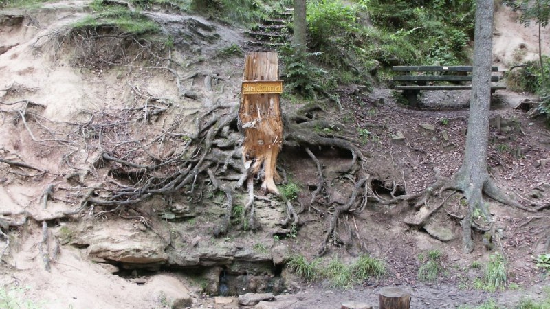 Waldszene mit freiliegenden Baumwurzeln, einem Schild 'Drei Annen' und einer Bank im Hintergrund. Waldszene mit freiliegenden Baumwurzeln, einem Schild 'Drei Annen' und einer Bank im Hintergrund.