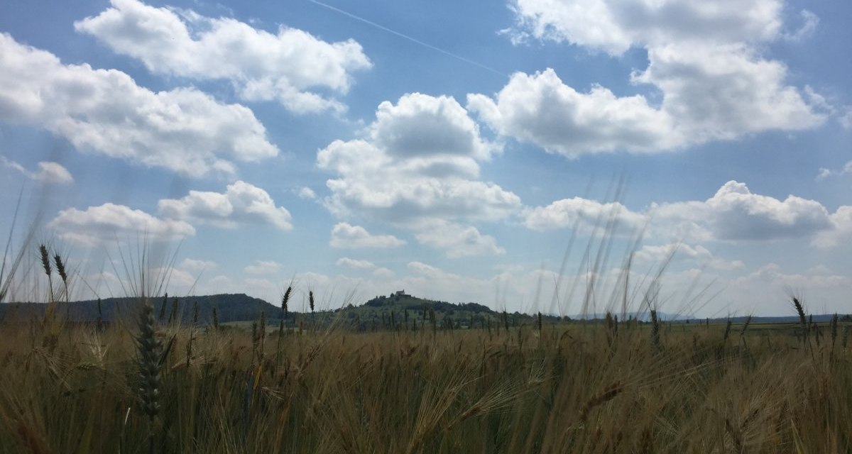 Weizenfeld im Vordergrund, dahinter die Wurmlinger Kapelle auf einem H&uuml;gel unter blauem Himmel mit wei&szlig;en Wolken., &copy; www.pro-cycl.de