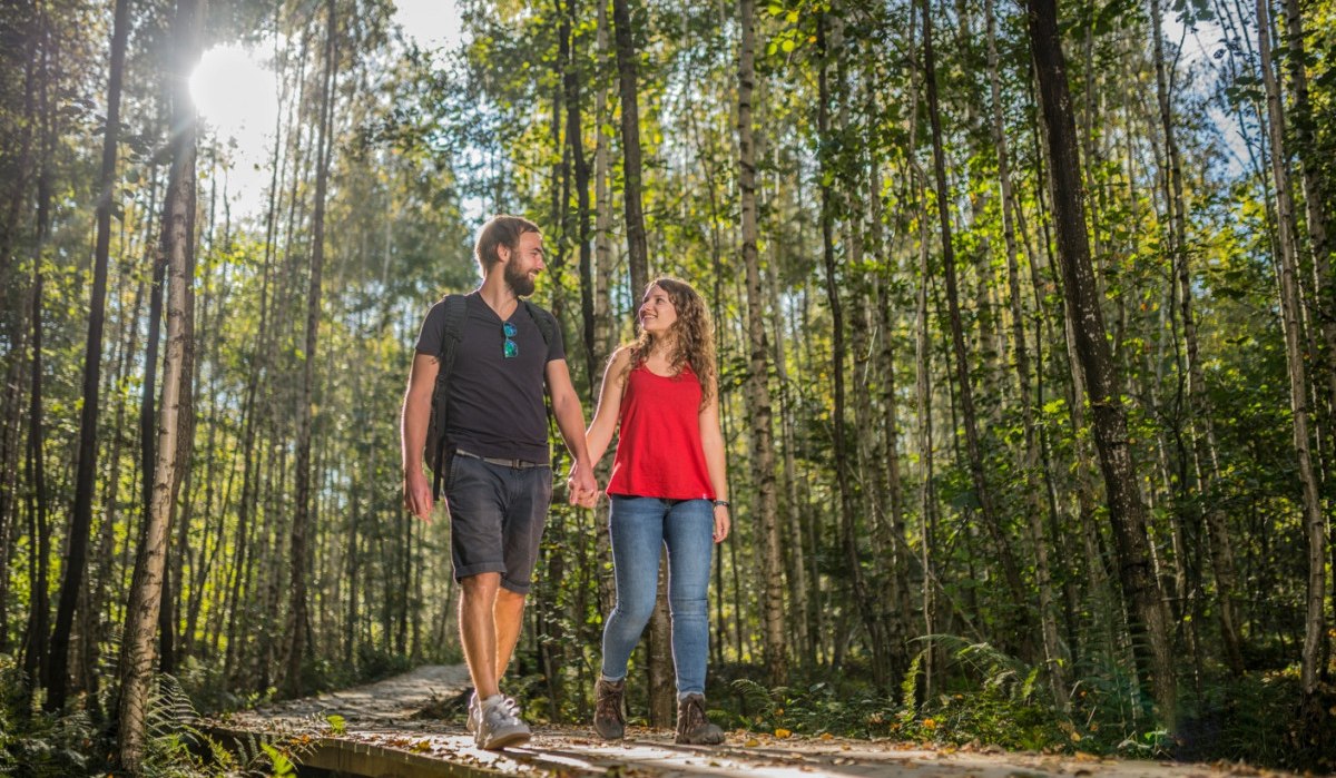 Ein Paar hält Händchen und spaziert auf einem Holzweg im Wald. Sonnenlicht fällt durch die Bäume und schafft eine idyllische Atmosphäre., © Jan Bürgermeister, Landkreis Göppingen Ein Paar hält Händchen und spaziert auf einem Holzweg im Wald. Sonnenlicht fällt durch die Bäume und schafft eine idyllische Atmosphäre., © Jan Bürgermeister, Landkreis Göppingen