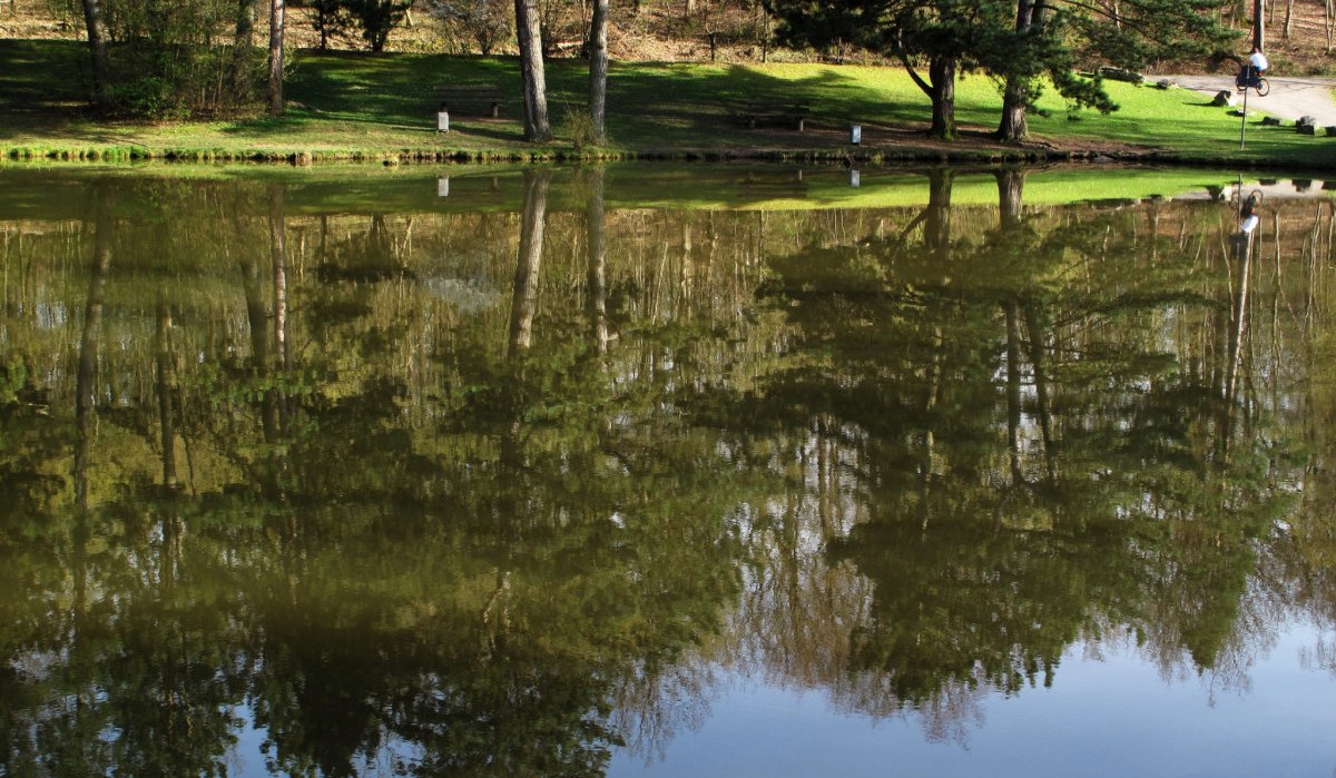 Ein ruhiger See spiegelt B&auml;ume und einen Spazierg&auml;nger wider. Die Umgebung ist gr&uuml;n und friedlich., &copy; RadL Leonberg