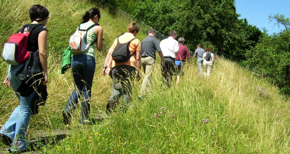 Eine Gruppe von Wanderern geht einen grasbewachsenen Pfad hinauf, umgeben von Bäumen und Wiesen am Elisabethenberg. Datum: 04.07.2008., © Stadt Lorch Eine Gruppe von Wanderern geht einen grasbewachsenen Pfad hinauf, umgeben von Bäumen und Wiesen am Elisabethenberg. Datum: 04.07.2008., © Stadt Lorch