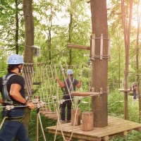 Menschen klettern im Kletterwald Plochingen auf Seilbrücken zwischen hohen Bäumen. Die Sonne scheint durch das Blätterdach., © © SMG, Jean-Claude Winkler