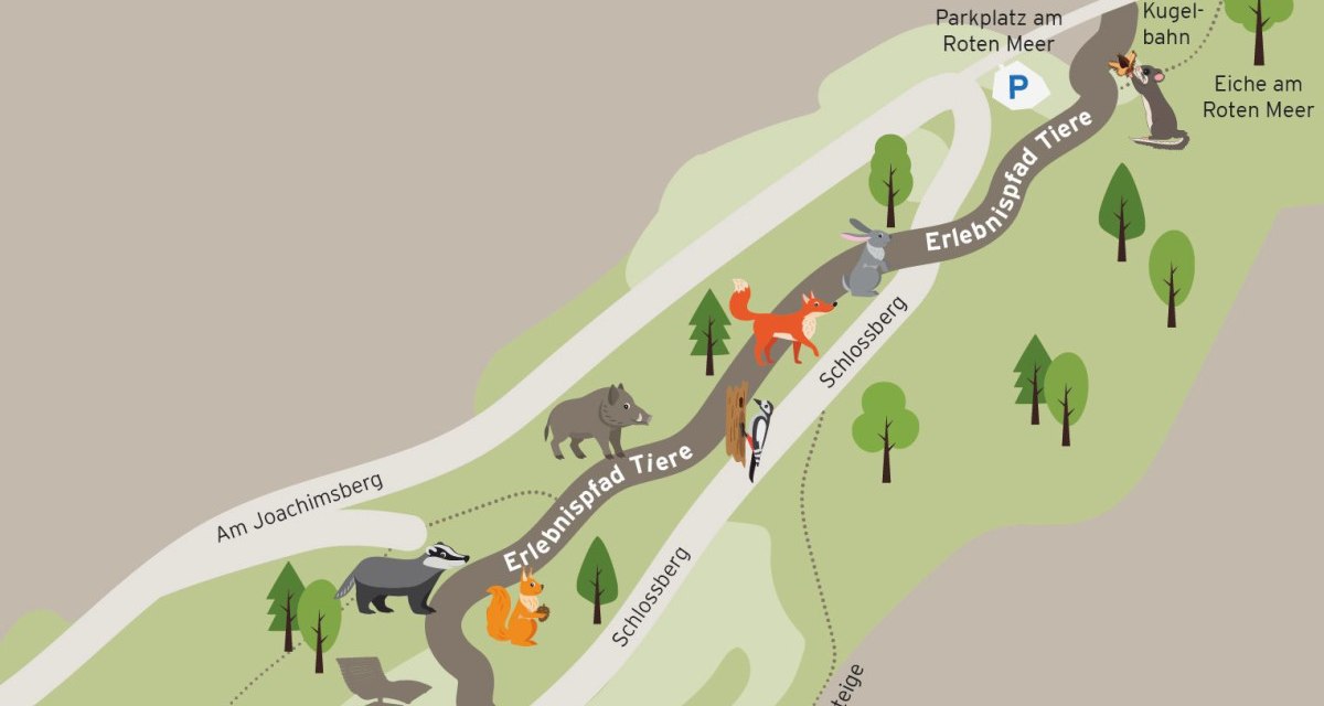 Karte des Tiererlebnispfads am Schlossberg mit illustrierten Tieren wie Fuchs, Hase und Wildschwein. Wege und Sehenswürdigkeiten sind markiert., © KFS Studio