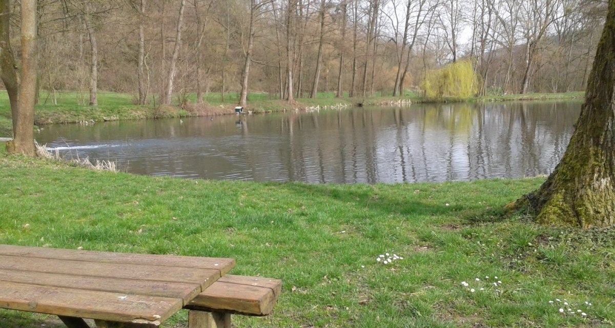 Ein ruhiger Teich in einem Park, umgeben von kahlen Bäumen. Im Vordergrund steht eine Holzbank auf einer grünen Wiese., © Natur.Nah. Schönbuch & Heckengäu Ein ruhiger Teich in einem Park, umgeben von kahlen Bäumen. Im Vordergrund steht eine Holzbank auf einer grünen Wiese., © Natur.Nah. Schönbuch & Heckengäu