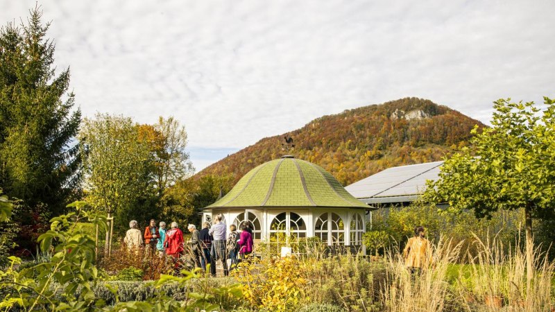 Menschen stehen in einem Kräutergarten vor einem Pavillon. Im Hintergrund ist ein bewaldeter Hügel zu sehen. Der Himmel ist bewölkt., © SMG, Sarah Schmid Menschen stehen in einem Kräutergarten vor einem Pavillon. Im Hintergrund ist ein bewaldeter Hügel zu sehen. Der Himmel ist bewölkt., © SMG, Sarah Schmid