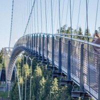 Hängebrücke WILDLINE, Bad Wildbad, © Stuttgart-Marketing GmbH, GLATZ MEDIA GmbH Hängebrücke WILDLINE, Bad Wildbad, © Stuttgart-Marketing GmbH, GLATZ MEDIA GmbH
