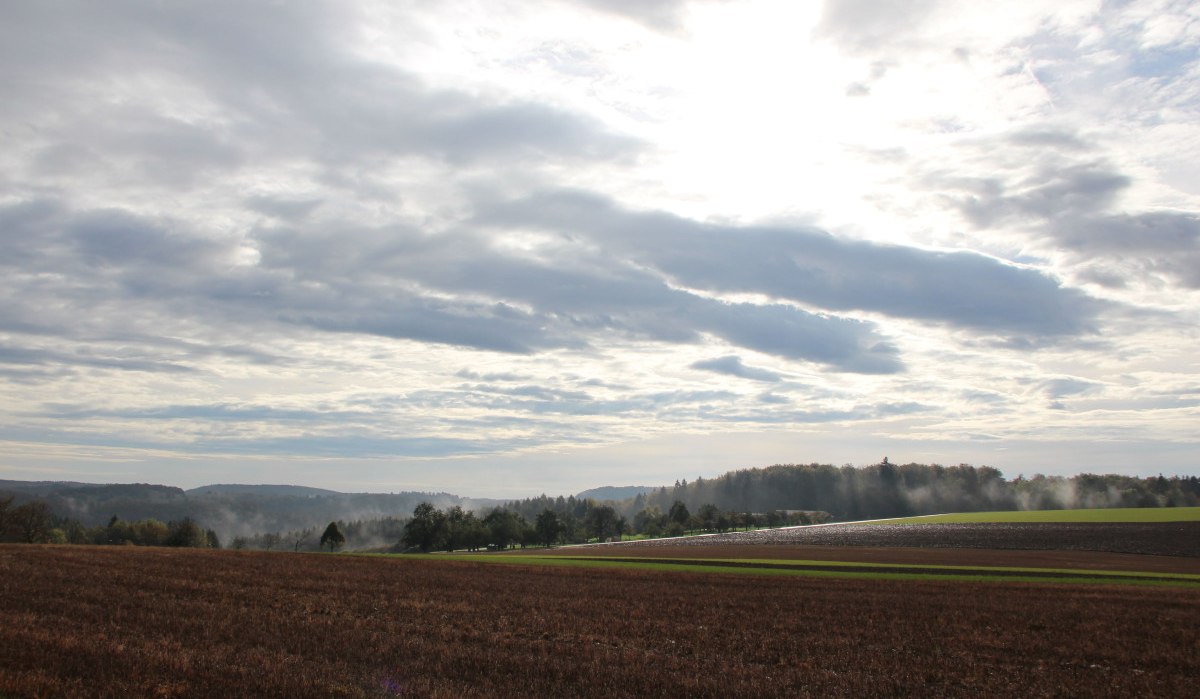 Ausblick auf die Felder rund um Wittlingen, © bad Urach Tourismus