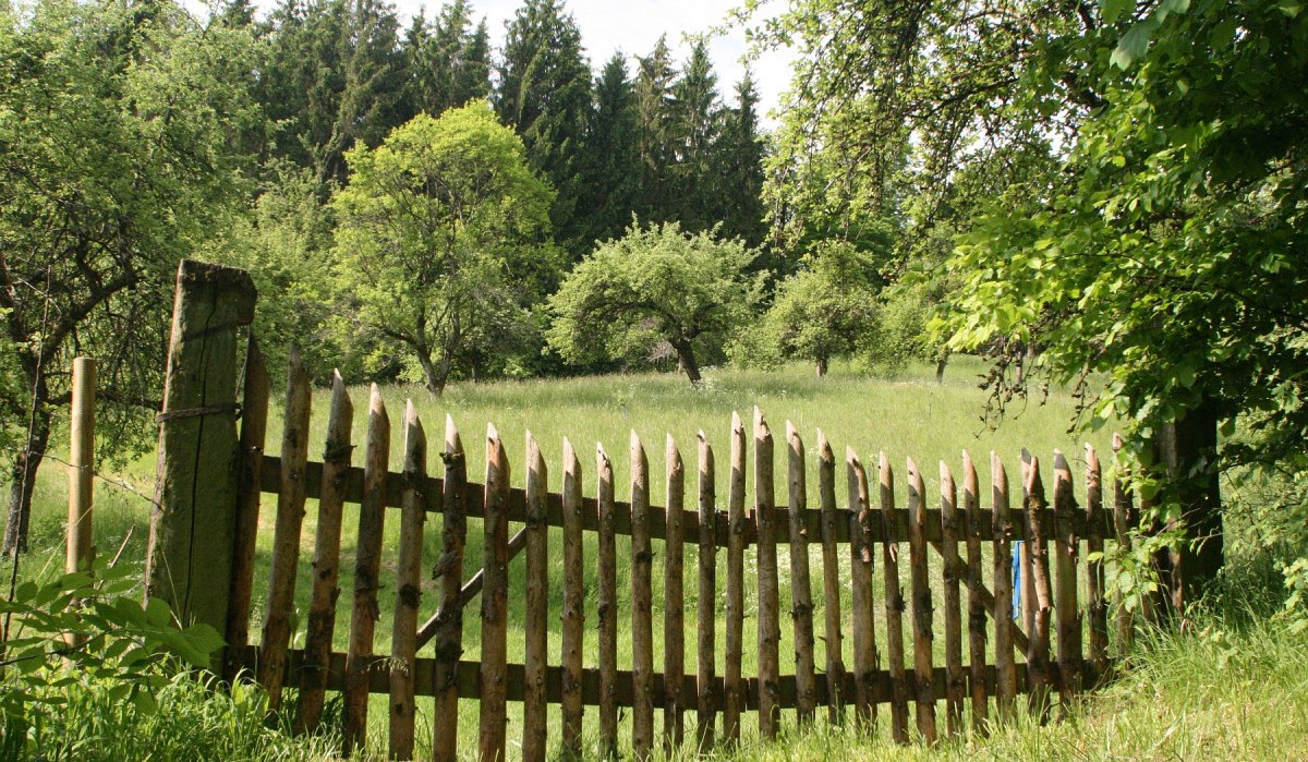 Ein rustikaler Holzzaun steht in einer grünen Wiese, umgeben von Bäumen und Wald im Hintergrund., © Petra Natzkowski Ein rustikaler Holzzaun steht in einer grünen Wiese, umgeben von Bäumen und Wald im Hintergrund., © Petra Natzkowski