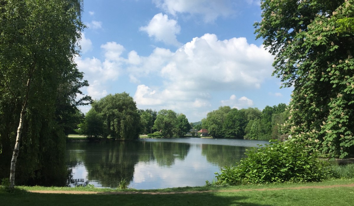 Ein idyllischer See umgeben von üppigem Grün und Bäumen unter einem klaren, blauen Himmel mit weißen Wolken., © www.pro-cycl.de Ein idyllischer See umgeben von üppigem Grün und Bäumen unter einem klaren, blauen Himmel mit weißen Wolken., © www.pro-cycl.de
