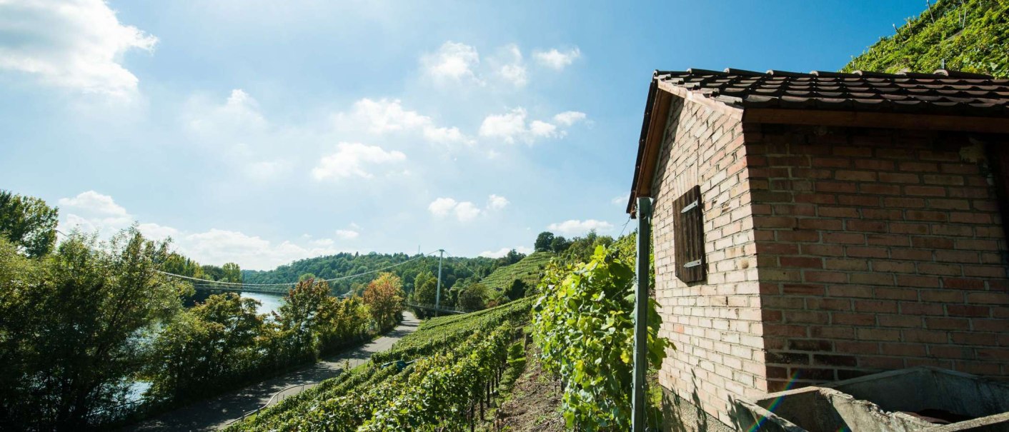 Eine kleine Backsteinhütte steht neben Weinreben auf einem Hügel. Im Hintergrund fließt ein Fluss, umgeben von Bäumen und einem klaren blauen Himmel., © Weingut Zaißerei Eine kleine Backsteinhütte steht neben Weinreben auf einem Hügel. Im Hintergrund fließt ein Fluss, umgeben von Bäumen und einem klaren blauen Himmel., © Weingut Zaißerei