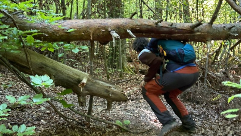 Schurwaldabenteuer Bannwald, © Kulturamt Stadt Plochingen Schurwaldabenteuer Bannwald, © Kulturamt Stadt Plochingen