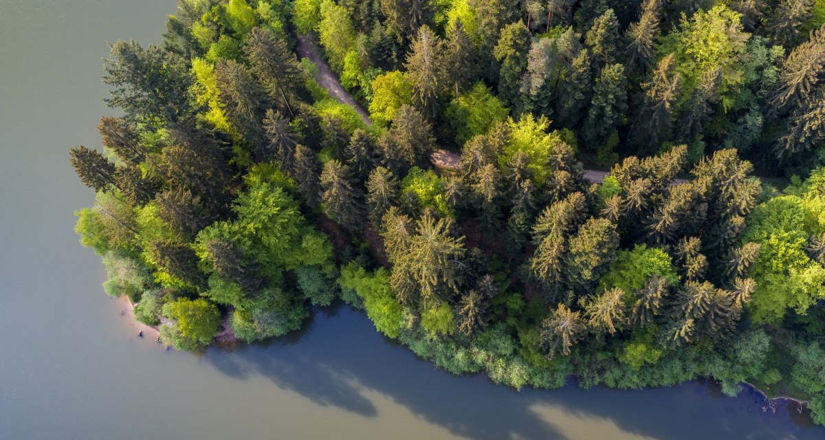 Luftaufnahme eines bewaldeten Ufers am Herrenbachstaussee. Dichte Bäume mit grünem Laub grenzen an das ruhige Wasser des Sees. Luftaufnahme eines bewaldeten Ufers am Herrenbachstaussee. Dichte Bäume mit grünem Laub grenzen an das ruhige Wasser des Sees.