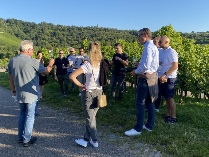 Eine Gruppe von Menschen steht in einem Weinberg in Stuttgart-Uhlbach und h&ouml;rt einem F&uuml;hrer zu. Die Landschaft ist gr&uuml;n und sonnig., &copy; Weingenuss Stuttgart