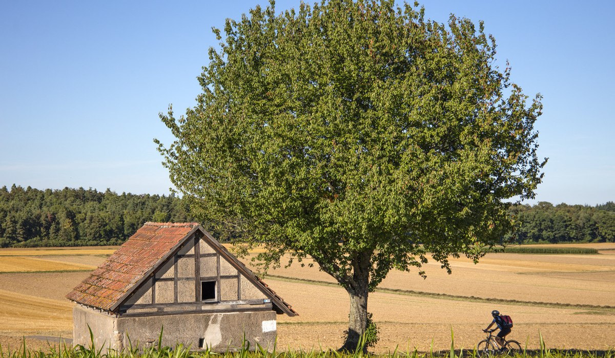 Heckengäu_Mende_0C0A2752 Heckengäu_Mende_0C0A2752