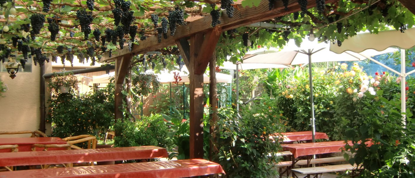 Ein einladender Garten mit Holztischen unter einer Pergola voller Trauben. Sonnenschirme und blühende Pflanzen schaffen eine gemütliche Atmosphäre., © Simone Mack Ein einladender Garten mit Holztischen unter einer Pergola voller Trauben. Sonnenschirme und blühende Pflanzen schaffen eine gemütliche Atmosphäre., © Simone Mack