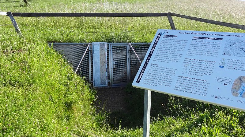 Infotafel am Bodenlehrpfad Beuren erklärt die Bodenbeschaffenheit und Vegetation. Im Hintergrund ist eine grüne Wiese zu sehen., © Kurverwaltung Beuren Infotafel am Bodenlehrpfad Beuren erklärt die Bodenbeschaffenheit und Vegetation. Im Hintergrund ist eine grüne Wiese zu sehen., © Kurverwaltung Beuren
