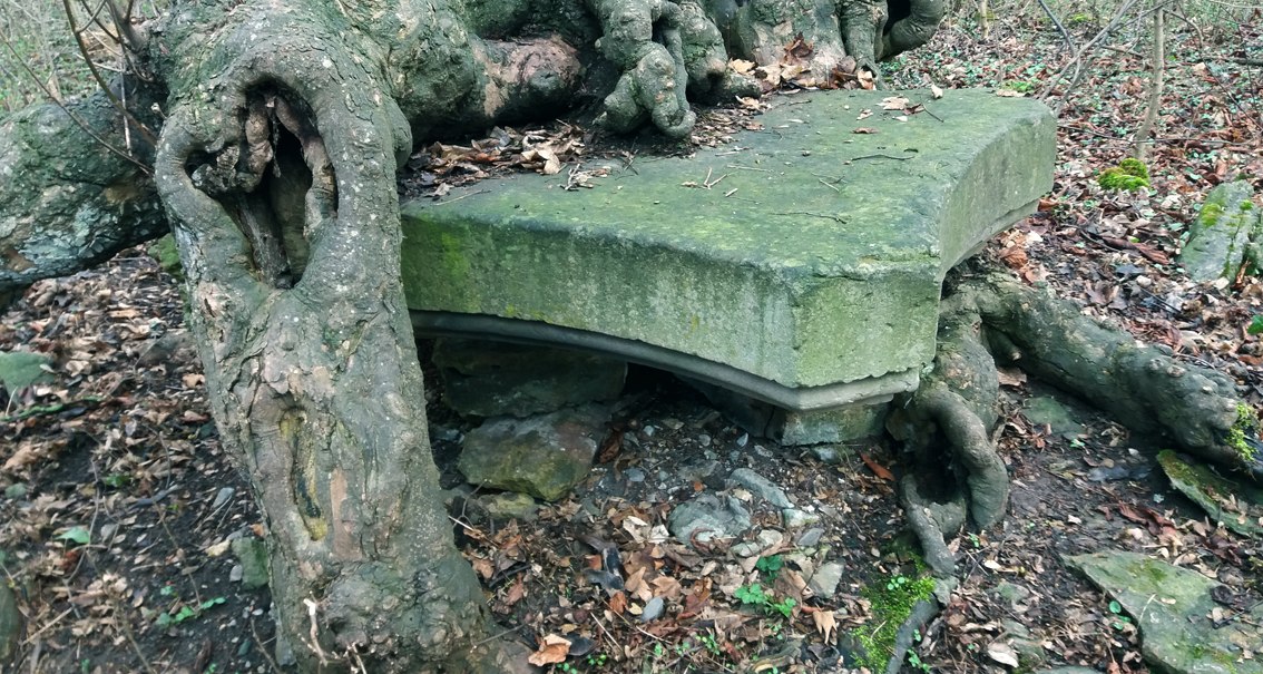 Ein Baumstamm umschließt eine alte, moosbedeckte Steinplatte im Wald. Die Wurzeln sind verwachsen und umschlingen den Stein., © Flucht-Raum