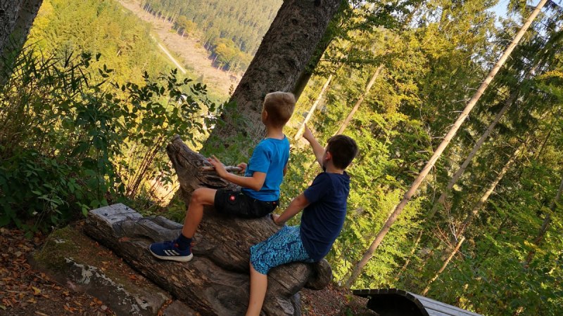 Zwei Kinder sitzen auf einer Holzskulptur im Wald und schauen in die Ferne. Umgeben von Bäumen, mit Blick auf eine bewaldete Landschaft., © Nördlicher Schwarzwald Zwei Kinder sitzen auf einer Holzskulptur im Wald und schauen in die Ferne. Umgeben von Bäumen, mit Blick auf eine bewaldete Landschaft., © Nördlicher Schwarzwald