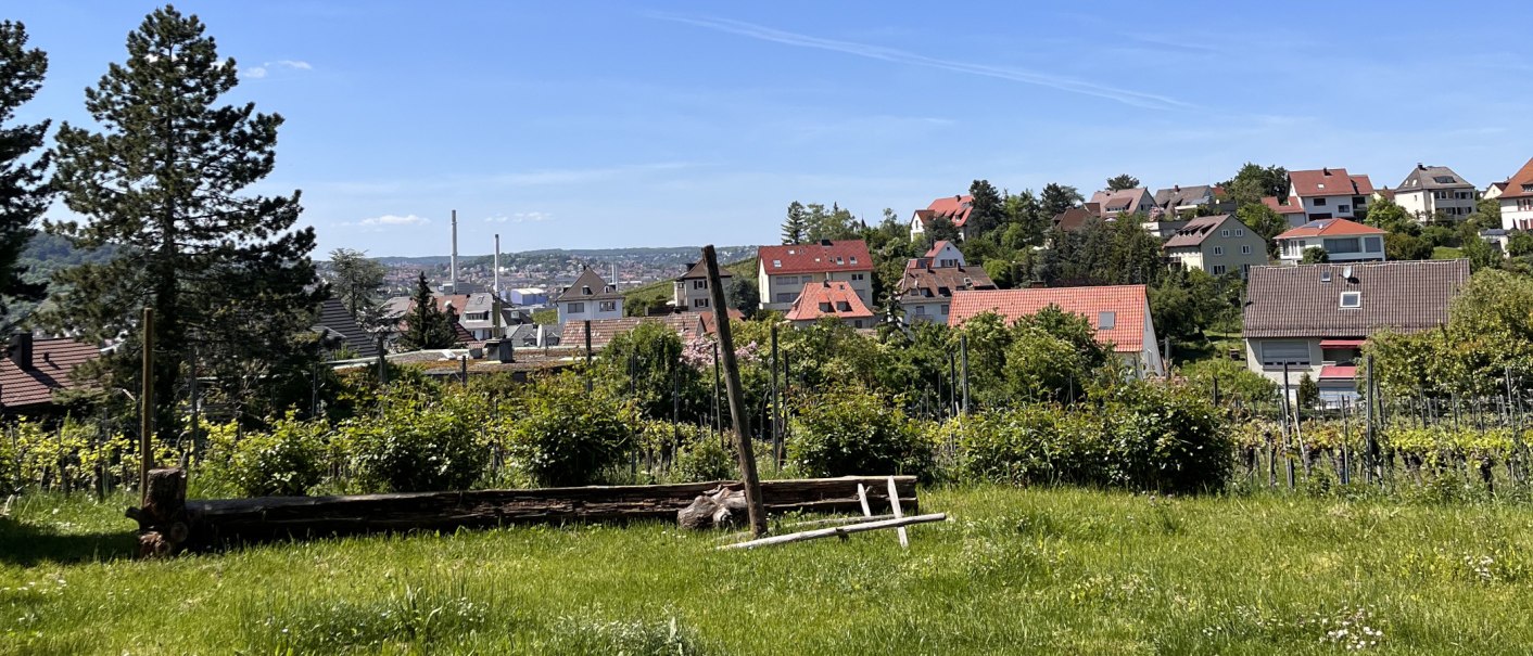 Grüne Wiese mit Bäumen, im Hintergrund ein Dorf mit roten Dächern und blauer Himmel., © Weinhof Zaiß