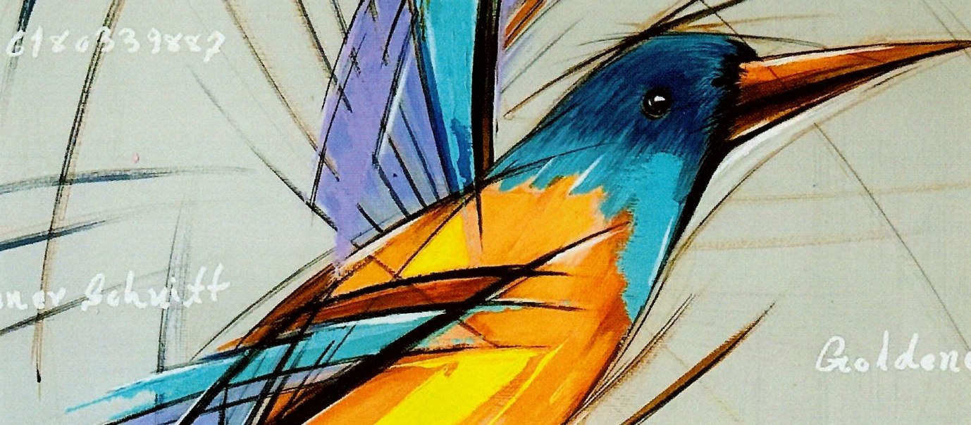 bunter Vogel vor grauem Hintergrund, © Abdul Naser Sawabi