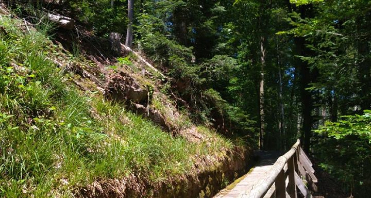 © Nördlicher Schwarzwald © Nördlicher Schwarzwald