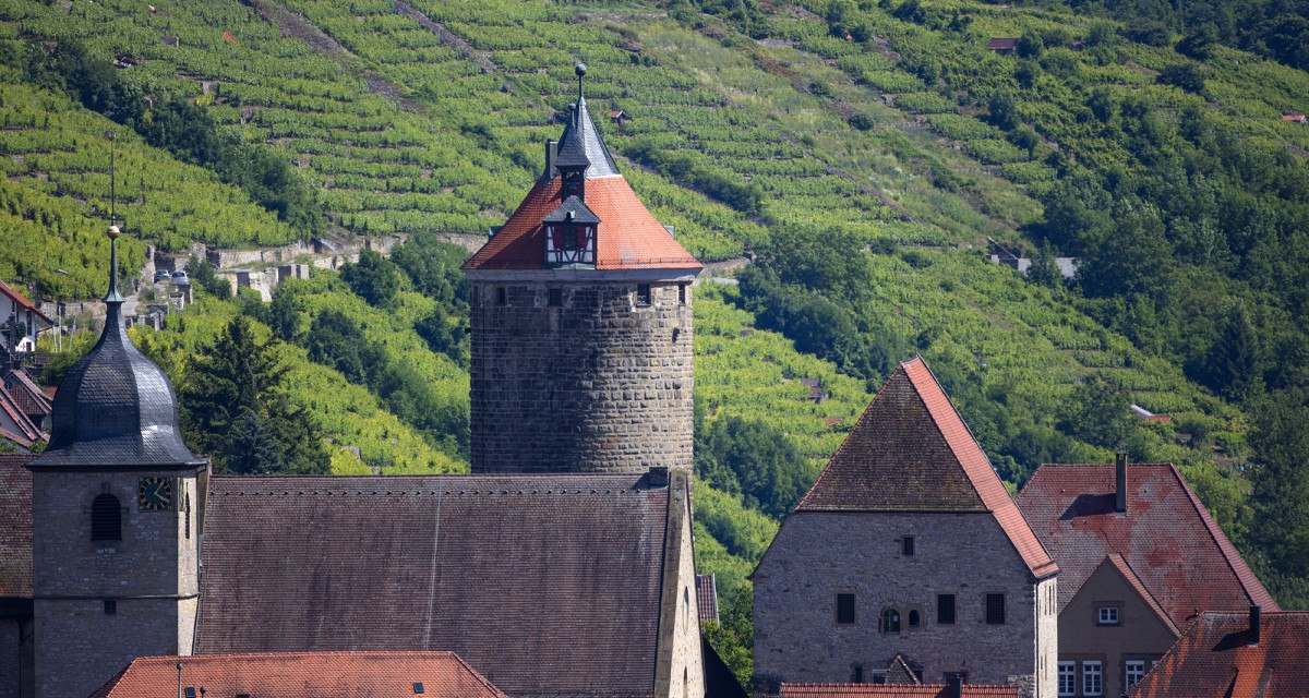 Die obere Burganlage in Besigheim mit einem Turm und Gebäuden, umgeben von grünen Weinbergen., © Achim Mende Die obere Burganlage in Besigheim mit einem Turm und Gebäuden, umgeben von grünen Weinbergen., © Achim Mende