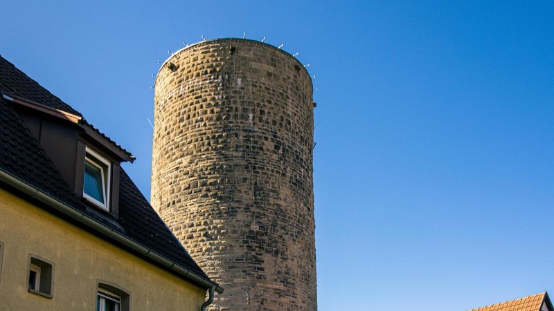 Der Waldhornturm in Besigheim erhebt sich neben einem Gebäude mit Dachfenstern, vor einem klaren blauen Himmel., © Stuttgart-Marketing GmbH, Sarah Schmid