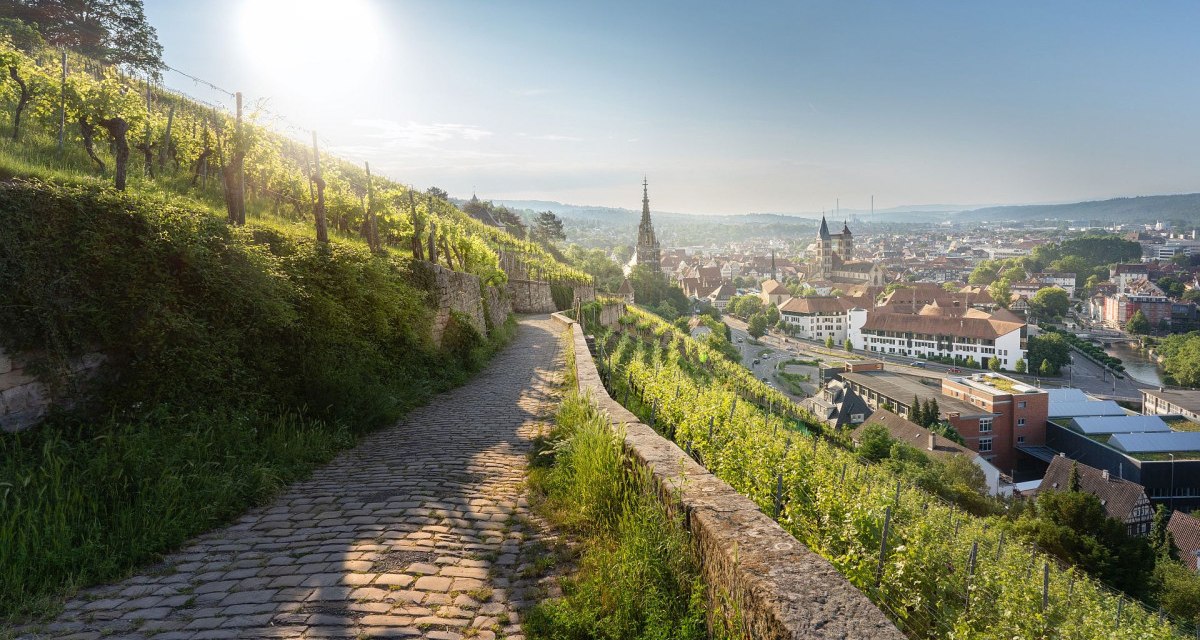 Blick aus den Weinbergen in die Stadt fr&uuml;hmorgens, &copy; Jean-Claude Winkler