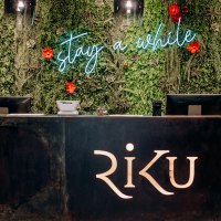 Rezeption mit grünem Pflanzenhintergrund, roten Blumen und Leuchtschrift 'stay a while'. Der Tresen trägt das Logo 'RiKU'., © 13 6 Design GmbH (Judenhof 10, 89073 Ulm)