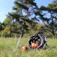 Fahrradhelm mit Äpfeln auf einer Wiese, umgeben von Bäumen und blauem Himmel., © Natur.Nah. Schönbuch & Heckengäu