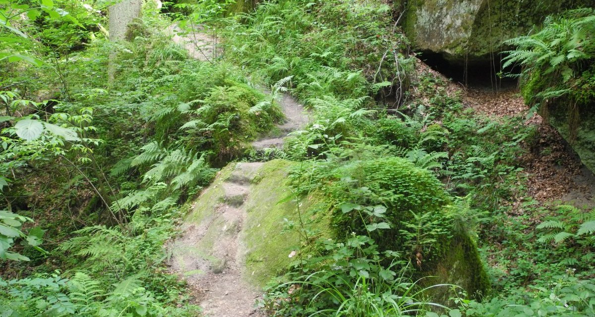 Ein schmaler Pfad schlängelt sich durch dichten Wald, umgeben von Farnen und moosbedeckten Felsen., © Remstal Tourismus e.V. Ein schmaler Pfad schlängelt sich durch dichten Wald, umgeben von Farnen und moosbedeckten Felsen., © Remstal Tourismus e.V.