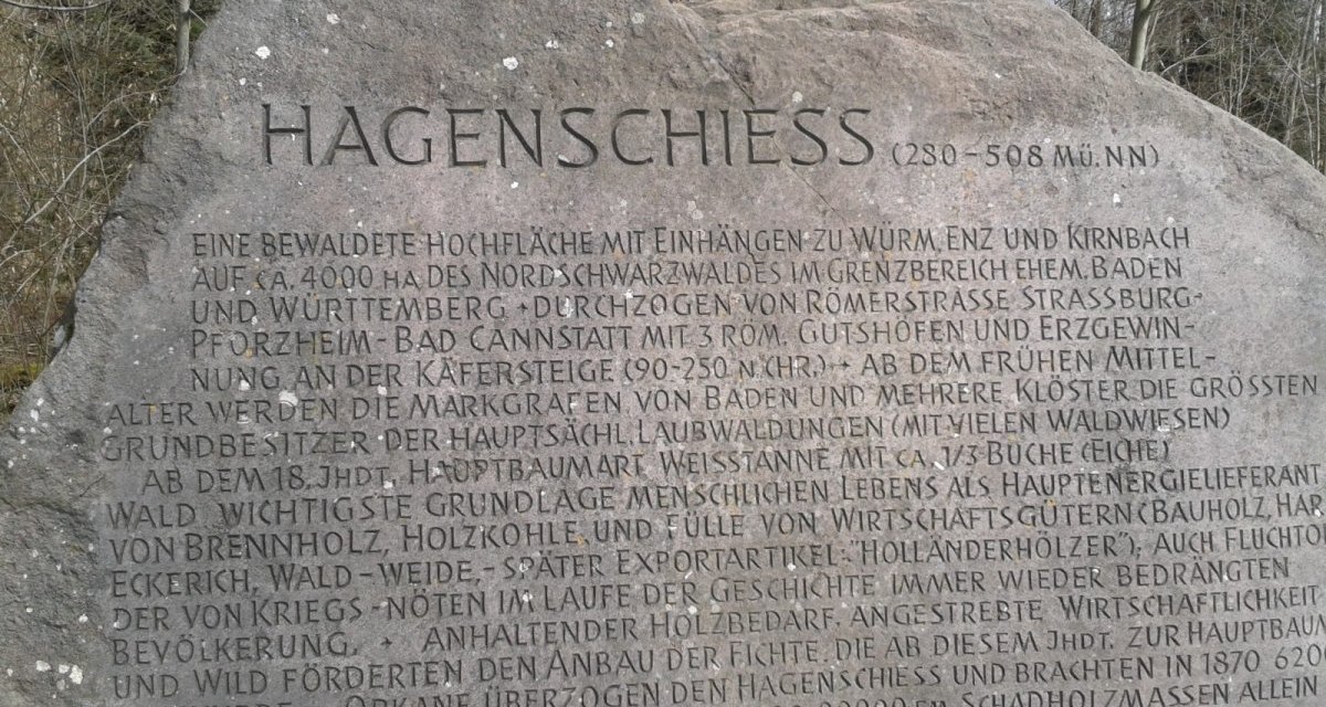 Gro&szlig;er Stein mit Inschrift &uuml;ber das Gebiet Hagenschie&szlig; im Nordschwarzwald, umgeben von B&auml;umen. Der Text beschreibt die historische Nutzung des Waldes., &copy; Natur.Nah. Sch&ouml;nbuch & Heckeng&auml;u