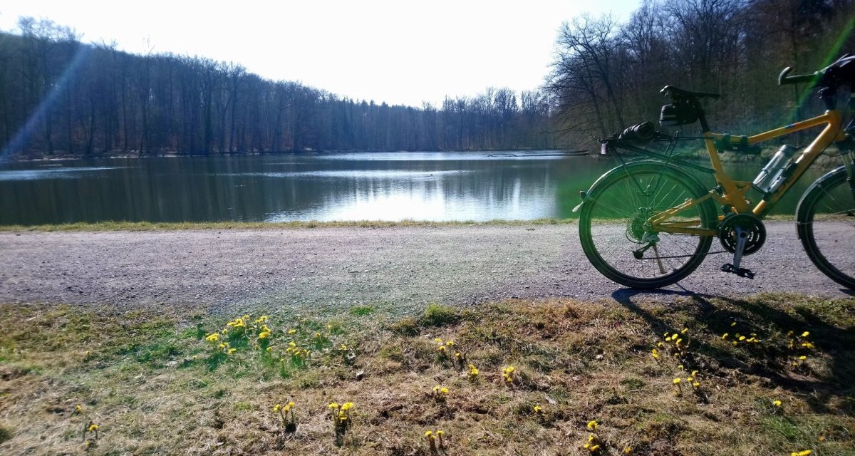 Ein Fahrrad steht am Ufer des Katzenbachsees. Gelbe Blumen blühen im Vordergrund, während der See von einem Wald umgeben ist., © Natur.Nah. Schönbuch & Heckengäu Ein Fahrrad steht am Ufer des Katzenbachsees. Gelbe Blumen blühen im Vordergrund, während der See von einem Wald umgeben ist., © Natur.Nah. Schönbuch & Heckengäu