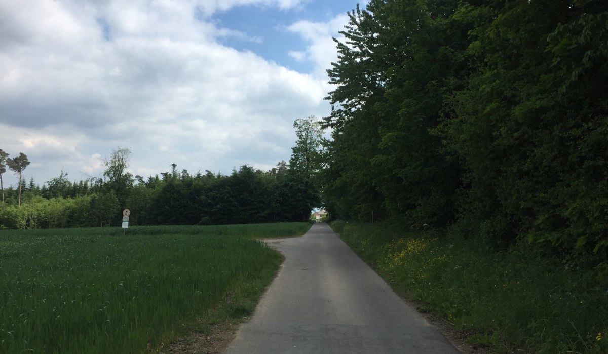 Ein schmaler Radweg verläuft durch eine grüne Landschaft mit Bäumen und Wiesen. Der Himmel ist bewölkt., © www.pro-cycl.de Ein schmaler Radweg verläuft durch eine grüne Landschaft mit Bäumen und Wiesen. Der Himmel ist bewölkt., © www.pro-cycl.de