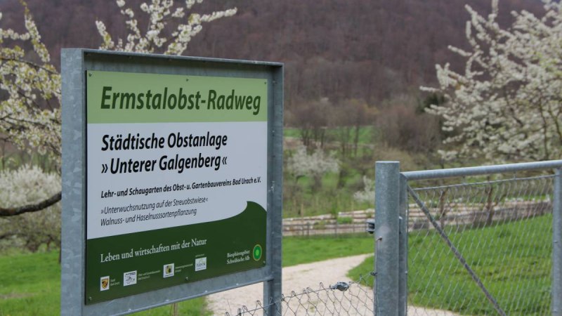 Schild der städtischen Obstanlage 'Unterer Galgenberg' am Ermstalobst-Radweg, umgeben von blühenden Bäumen und einem Zaun.