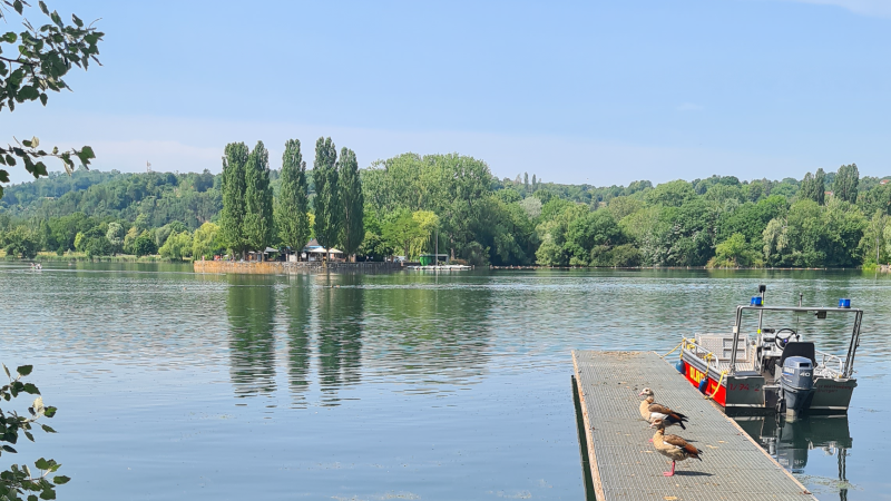 Max-Eyth-See in Stuttgart mit Enten auf einem Steg, einem Boot und grüner Landschaft im Hintergrund., © Stuttgart-Marketing GmbH, Sandra Nörpel