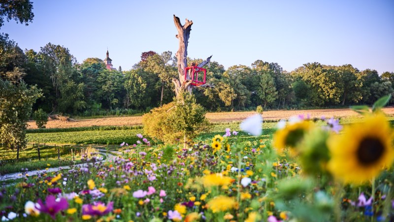 Bunte Blumenwiese mit einem Baumstumpf, auf dem eine rote Skulptur steht. Im Hintergrund sind ein Schloss und B&auml;ume zu sehen., &copy; Natur.Nah. Sch&ouml;nbuch & Heckeng&auml;u