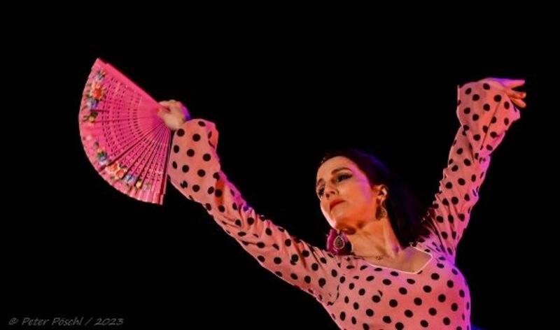 Eine Flamenco-Tänzerin in einem gepunkteten Kleid tanzt mit einem rosa Fächer vor schwarzem Hintergrund., © Tanz- und Theaterwerkstatt e.V.