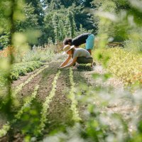 G&auml;rtner bei der Arbeit, &copy; Die Bilder sind urheberrechtlich gesch&uuml;tzt. Nutzungsrechte bitte vor Verwendung anfragen.