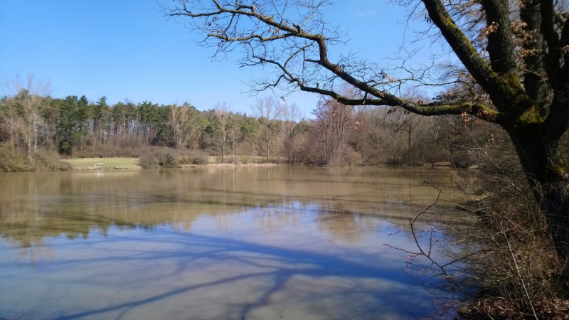 Ein ruhiger See mit spiegelnder Wasseroberfläche, umgeben von kahlen Bäumen und einem Ast im Vordergrund unter blauem Himmel., © Natur.Nah. Schönbuch & Heckengäu Ein ruhiger See mit spiegelnder Wasseroberfläche, umgeben von kahlen Bäumen und einem Ast im Vordergrund unter blauem Himmel., © Natur.Nah. Schönbuch & Heckengäu