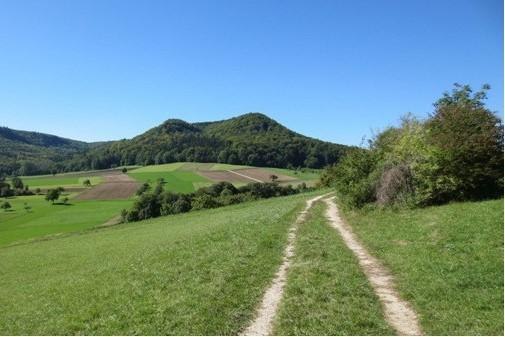 Ein Feldweg schlängelt sich durch grüne Wiesen, umgeben von Hügeln und Bäumen unter einem klaren blauen Himmel., © Ev. Kirche St. Bernhardt Ein Feldweg schlängelt sich durch grüne Wiesen, umgeben von Hügeln und Bäumen unter einem klaren blauen Himmel., © Ev. Kirche St. Bernhardt