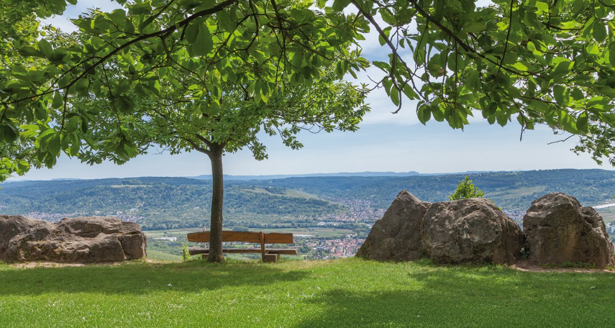 Eine Bank unter einem Baum bietet einen malerischen Blick auf eine grüne, hügelige Landschaft. Große Felsen rahmen die Szene ein. Eine Bank unter einem Baum bietet einen malerischen Blick auf eine grüne, hügelige Landschaft. Große Felsen rahmen die Szene ein.
