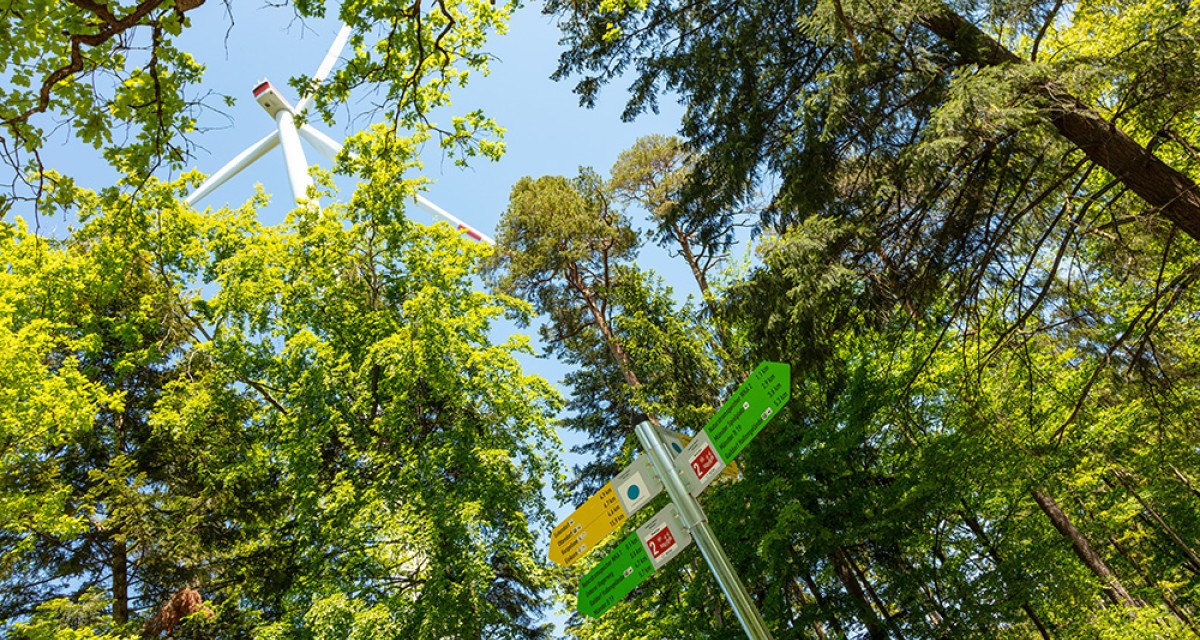 Ein Wegweiser im Wald zeigt verschiedene Richtungen an. Im Hintergrund ist ein Windrad zu sehen, umgeben von grünen Bäumen und blauem Himmel.