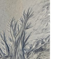 Detailaufnahme von Sandmustern, die an B&auml;ume erinnern. Die Strukturen wirken organisch und verzweigt., &copy; PlochingenInfo